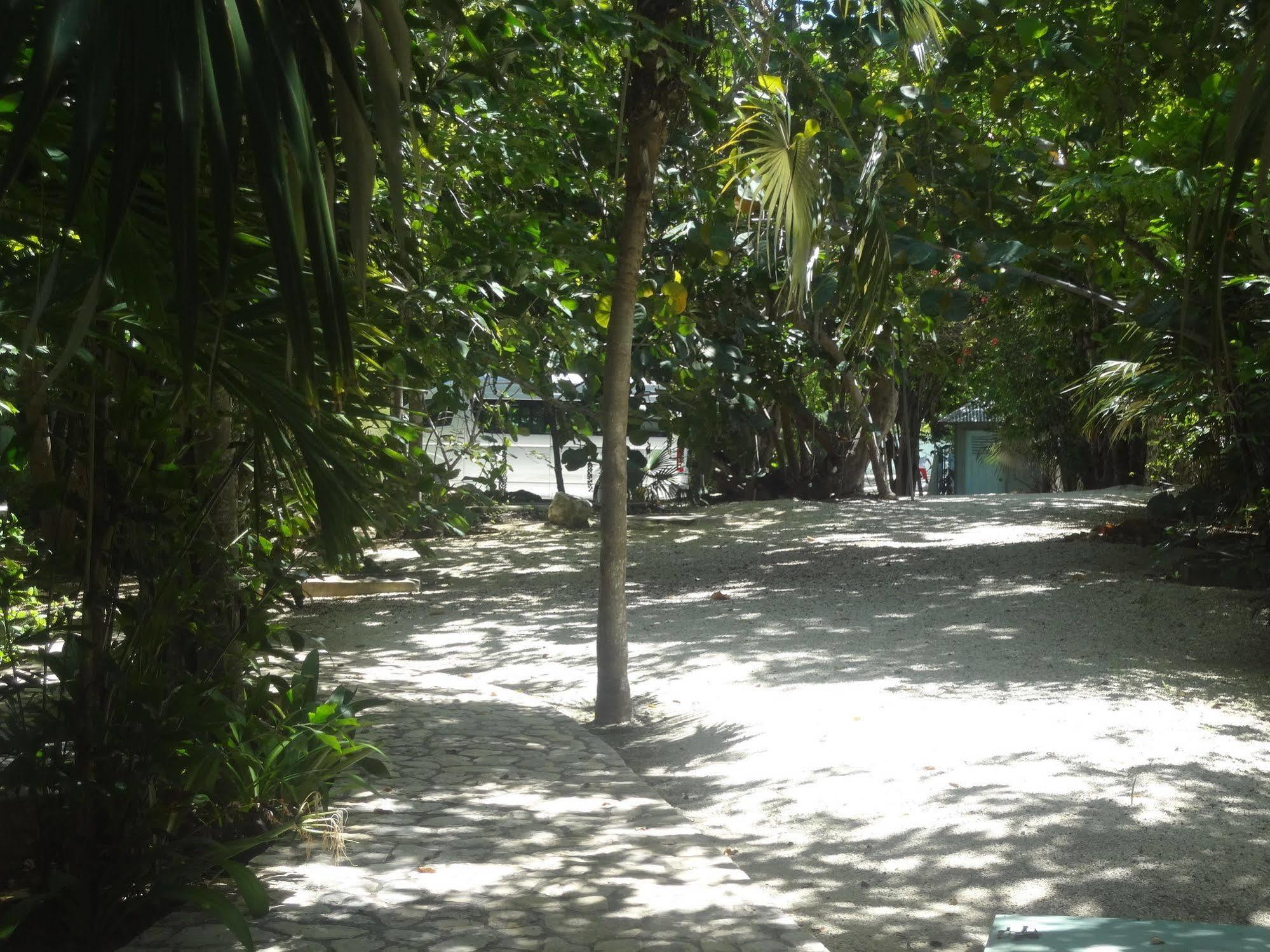 Hotel Idle Awhile Cliffs à Negril Extérieur photo